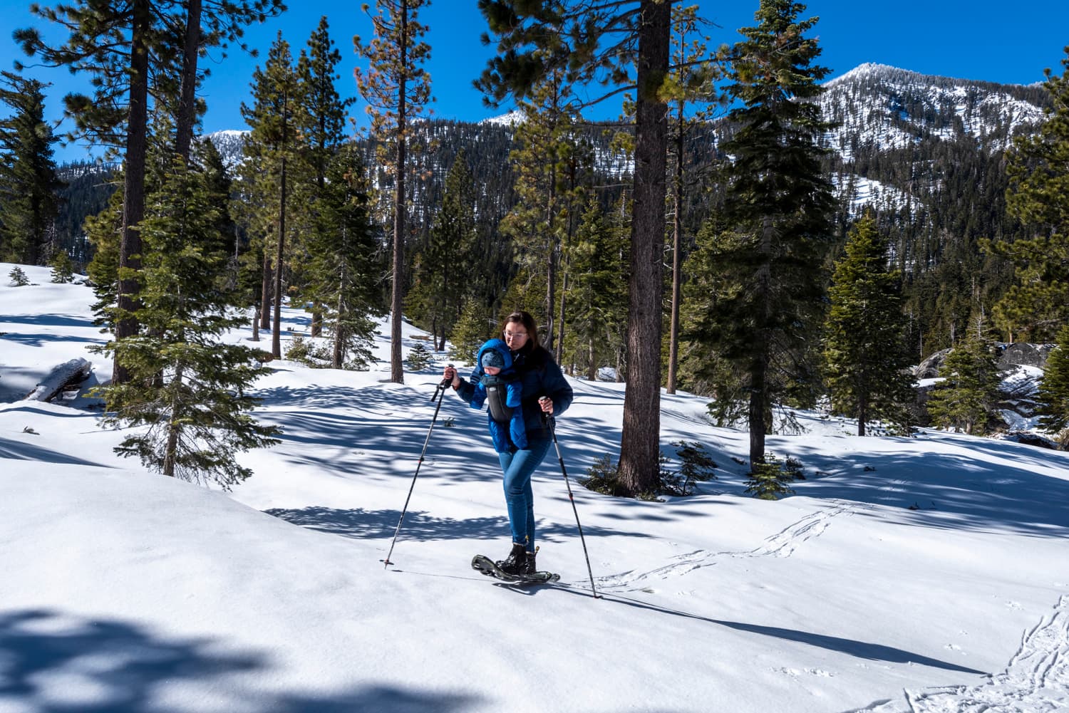 Beach Camp (sites 141-165)