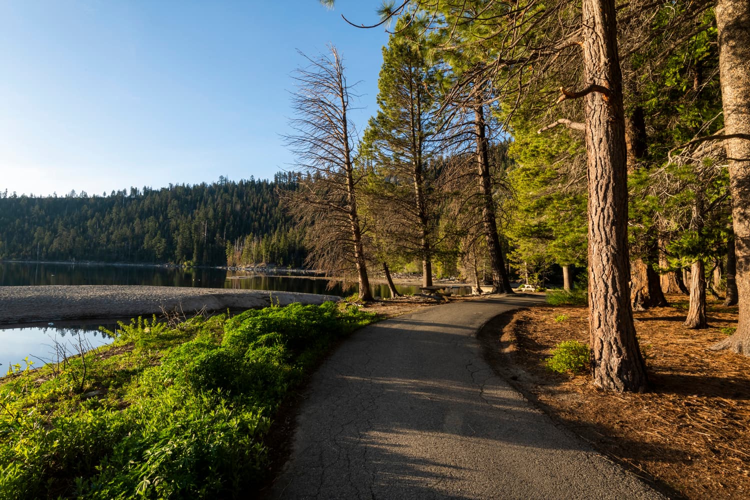 Boat-In Camp Area photo 6