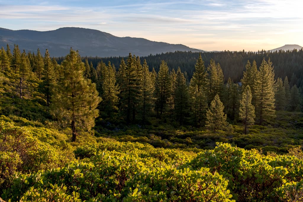 Jamison Creek Campground (sites 1-70) photo 8