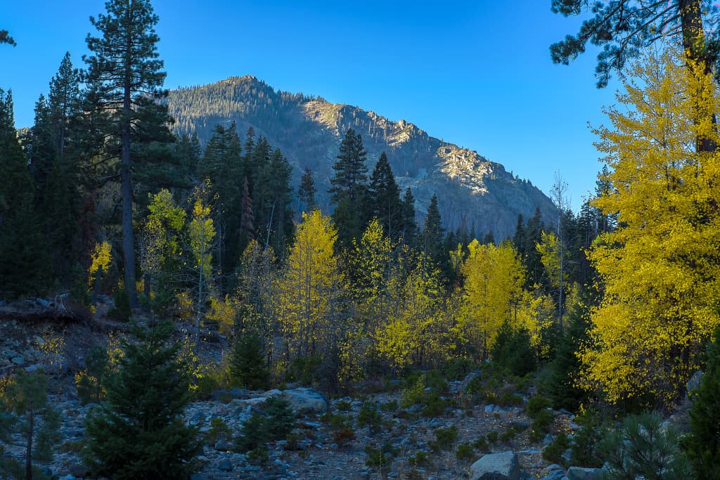 Jamison Creek Campground (sites 1-70) photo 7