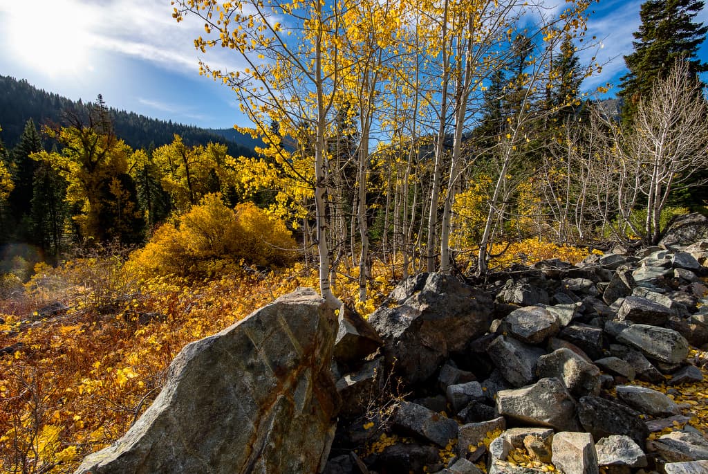 Jamison Creek Campground (sites 1-70) photo 5