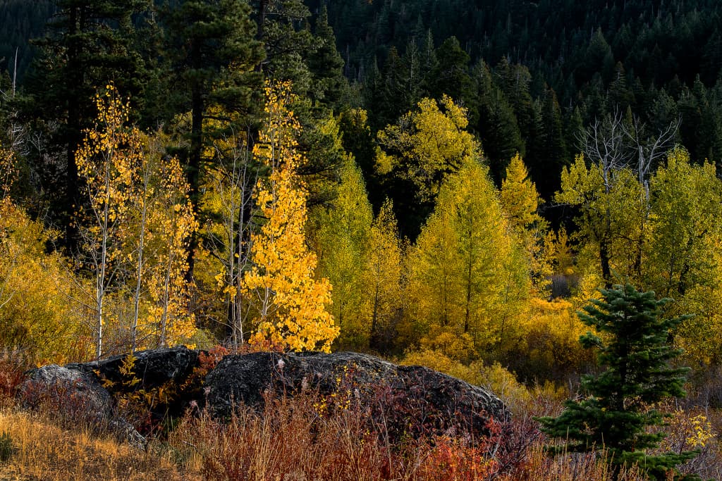 Jamison Creek Campground (sites 1-70) photo 3