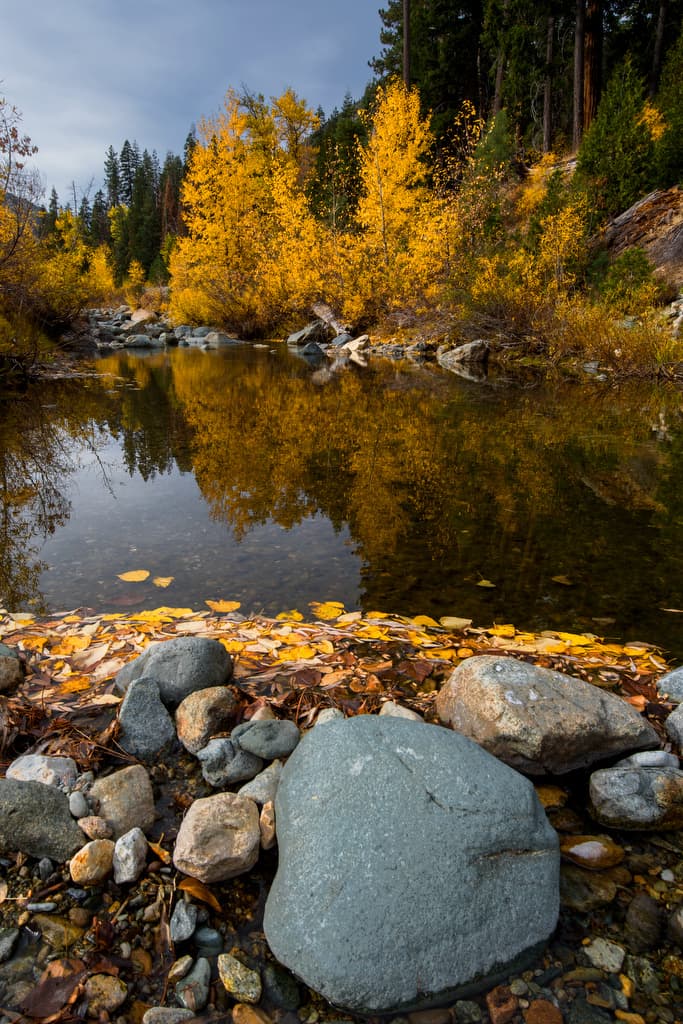 Jamison Creek Campground (sites 1-70) photo 2