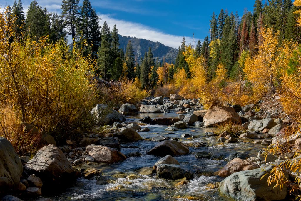 Camp Lisa Group Site