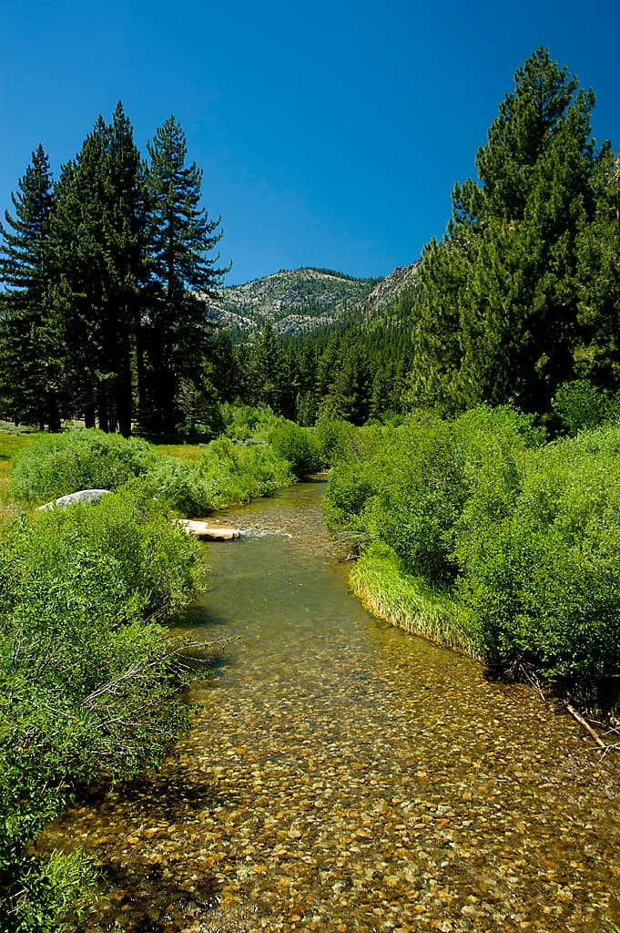 Hot Springs Campground (sites 1-36) photo 8