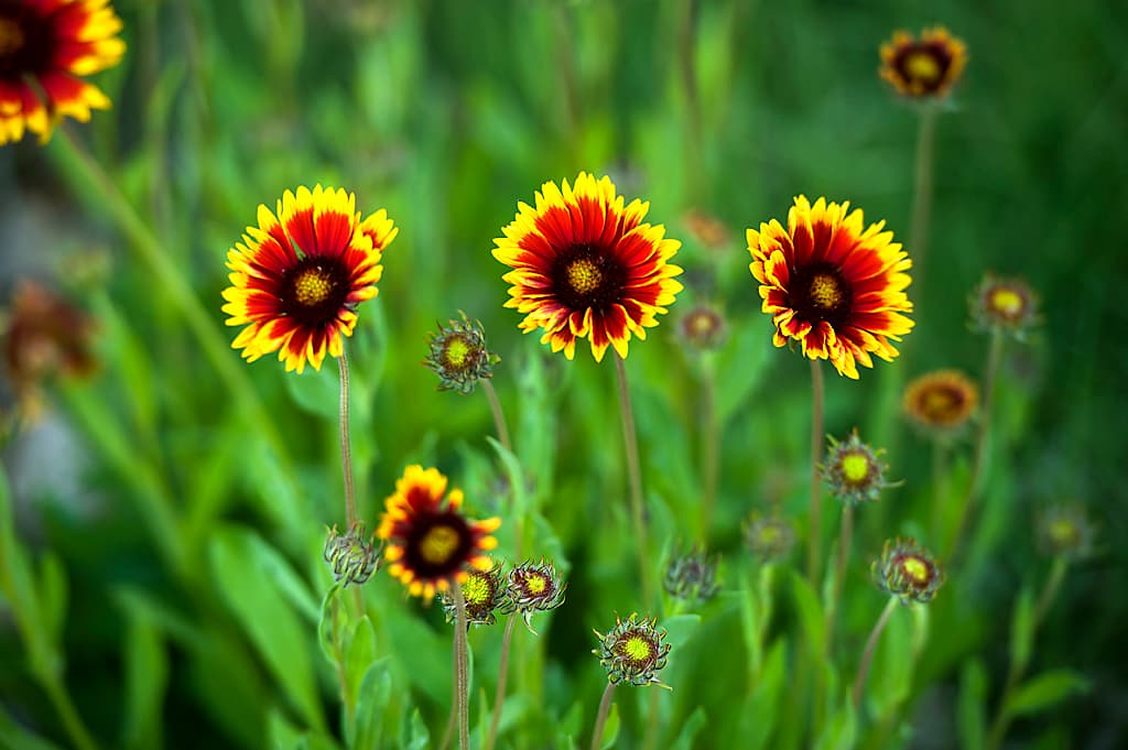 Hot Springs Campground (sites 1-36) photo 6