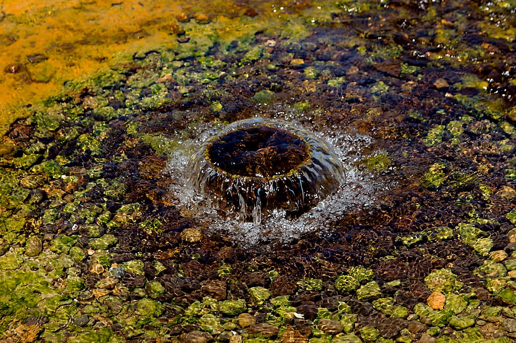 Hot Springs Campground (sites 1-36) photo 5