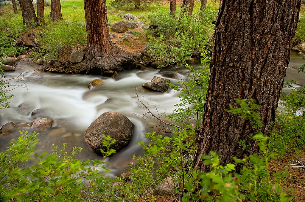 Hot Springs Campground (sites 1-36)