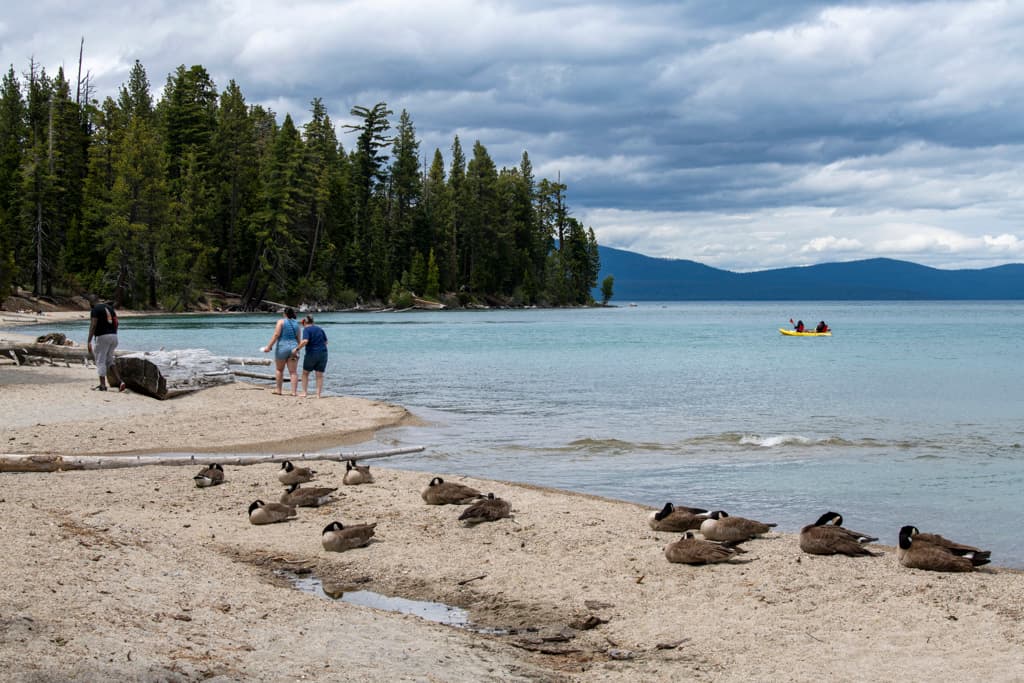General Creek Western Loop (sites 126-175) photo 8