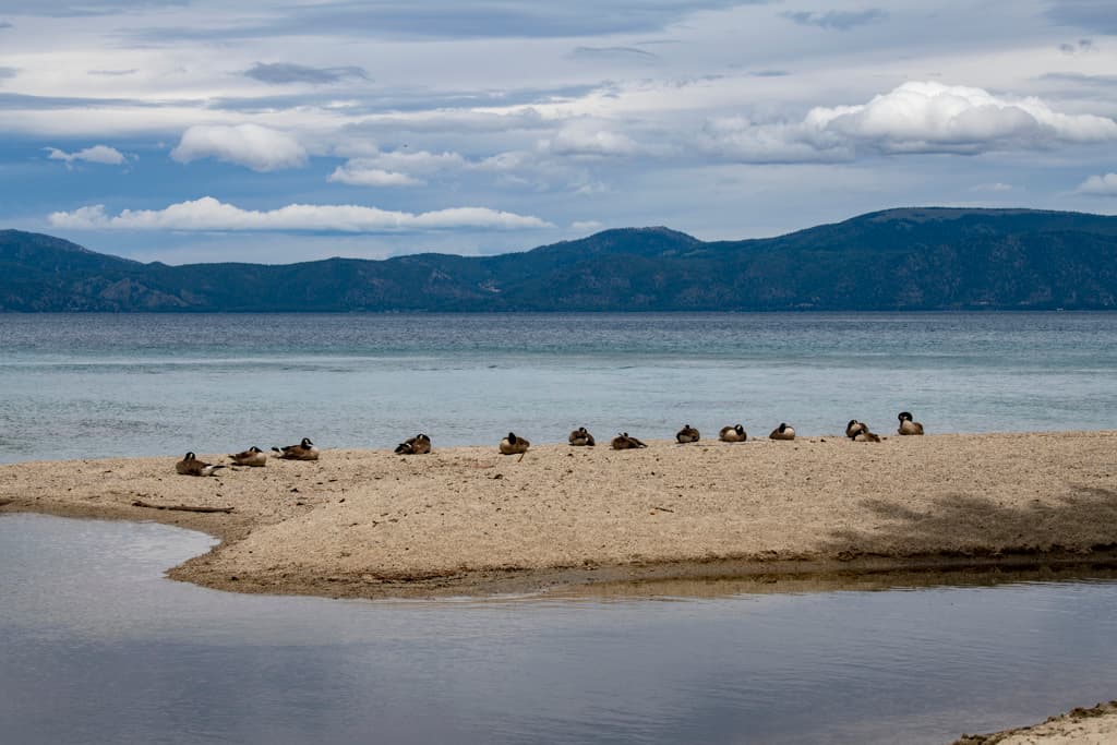 General Creek Western Loop (sites 126-175) photo 6