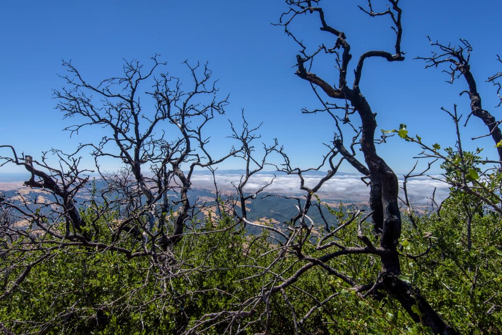 Juniper Campground photo 7