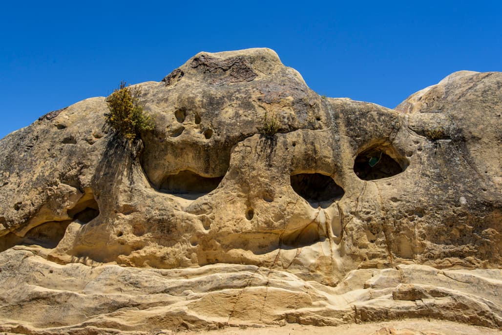 Juniper Campground photo 4