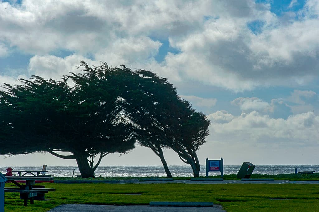 Sweetwood Group Camping photo 2