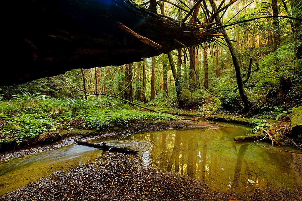 Ben Ries Campground photo 6