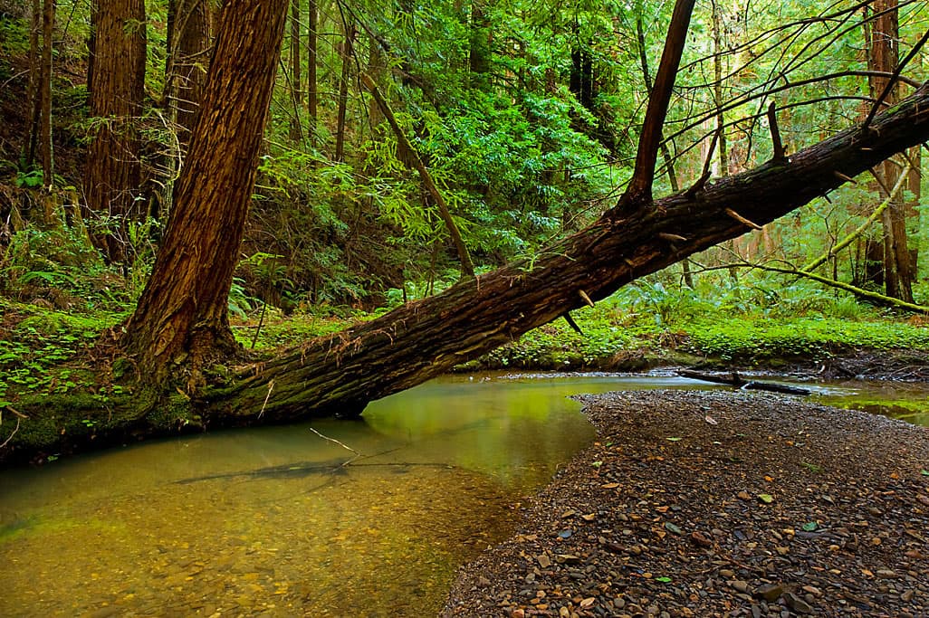 Ben Ries Campground photo 5
