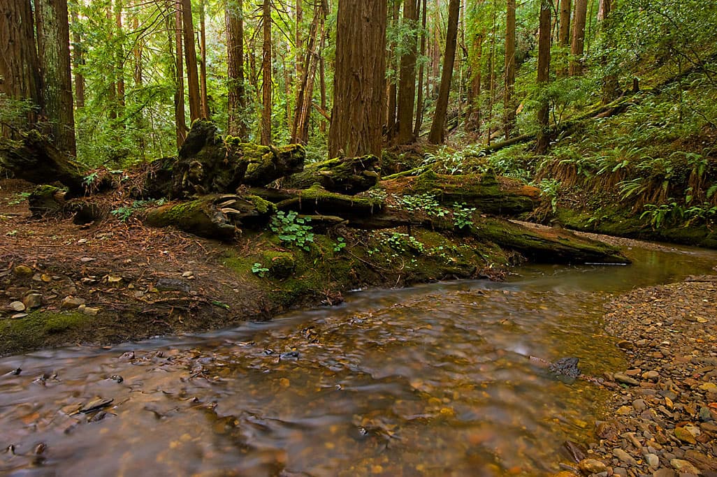 Ben Ries Campground photo 4