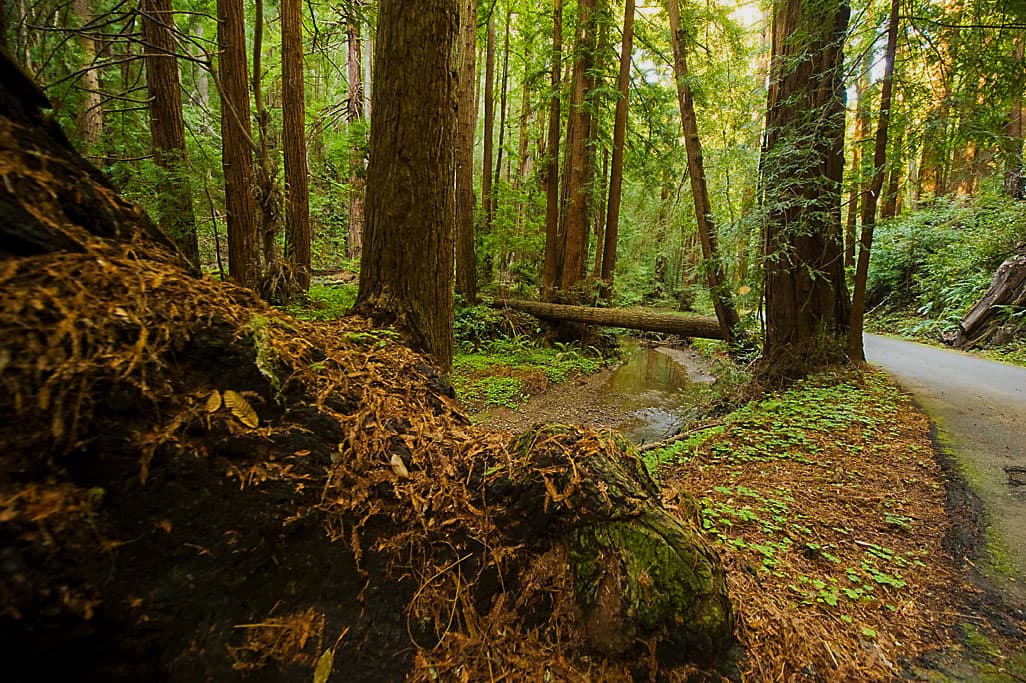 Ben Ries Campground photo 3