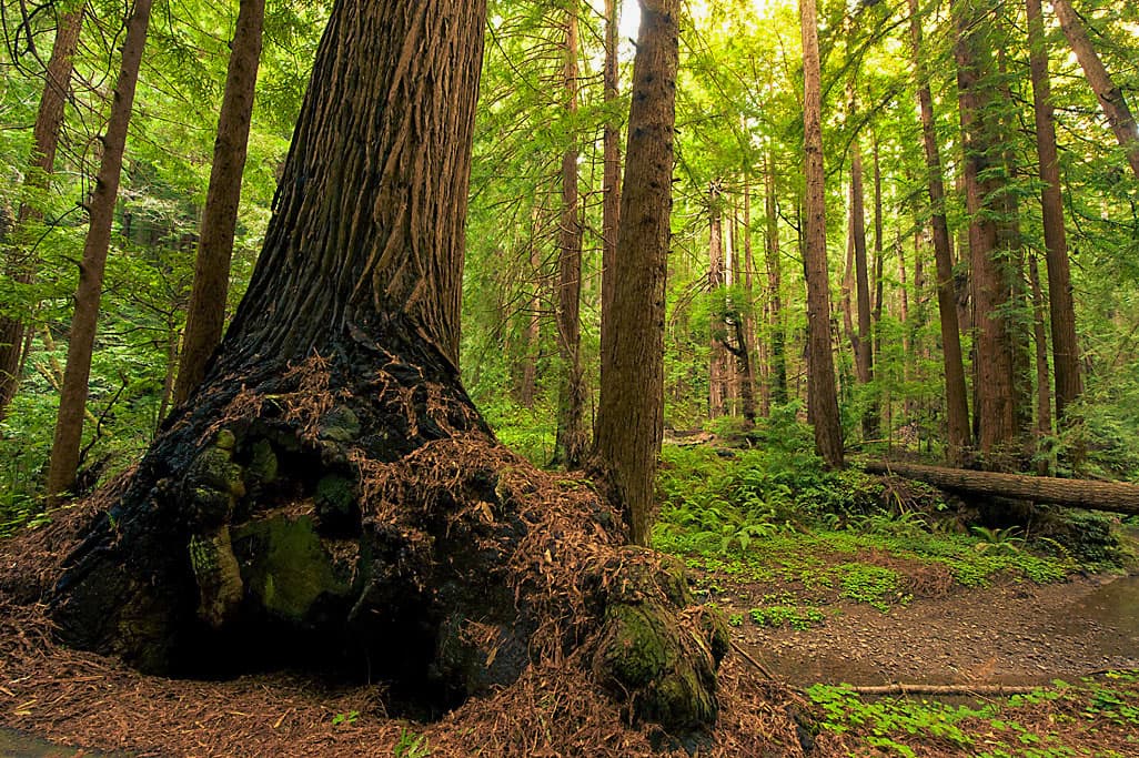 Ben Ries Campground photo 2