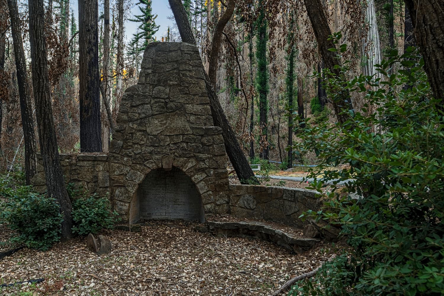 Woodfern Area photo 3