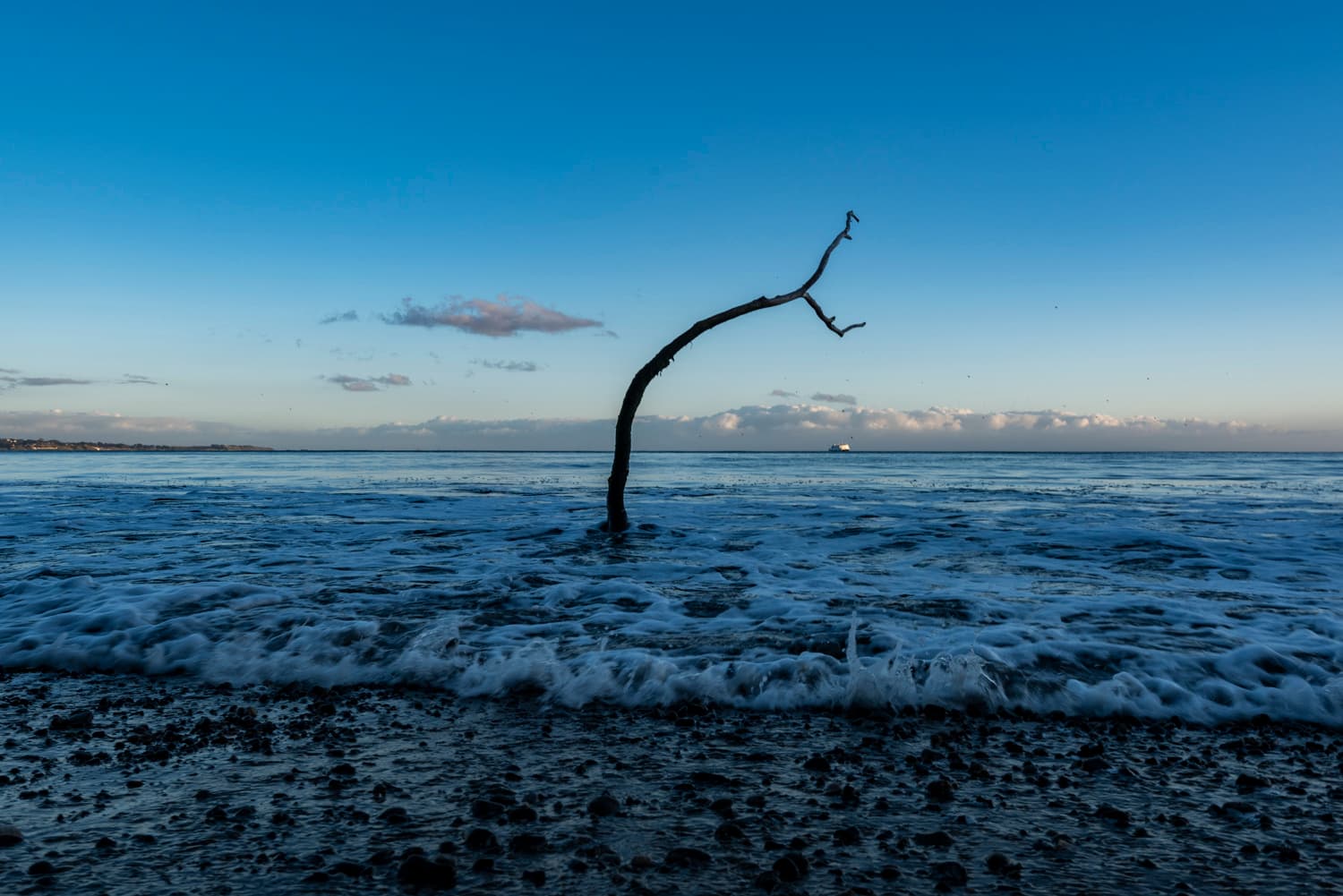 Group Camping Area photo 2