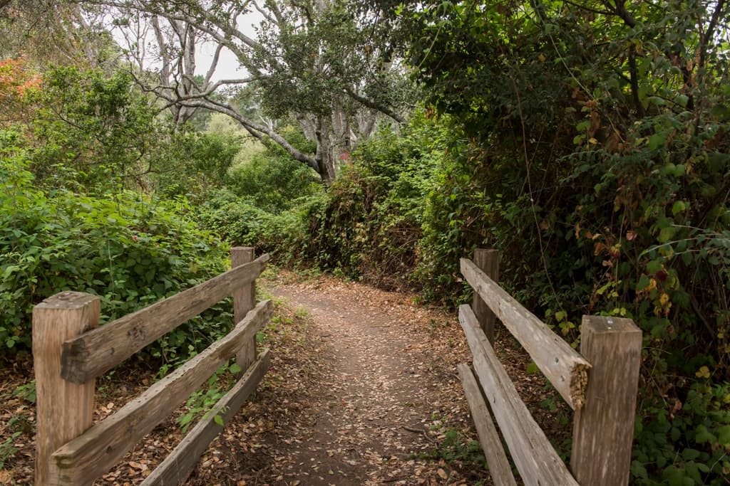 Group Camping Area photo 5