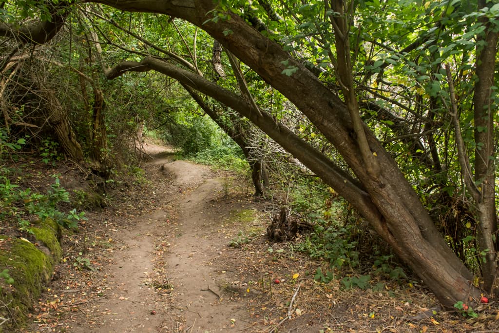 Group Camping Area photo 4