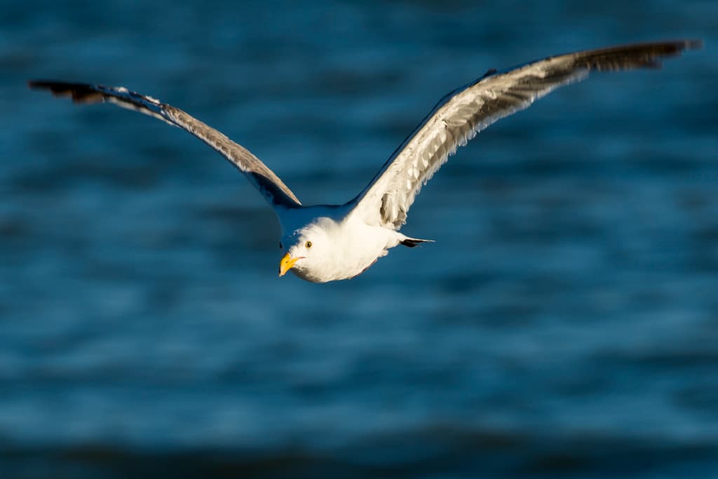 Overflow (sites A2 - C6) photo 4