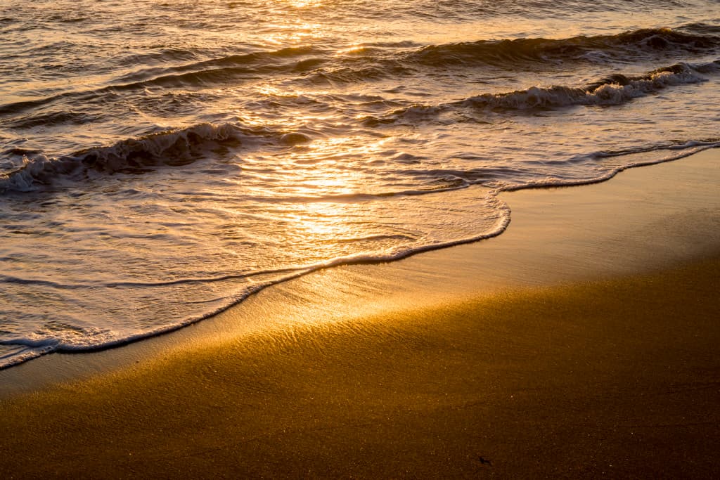 South Camp (sites 1-37) photo 2