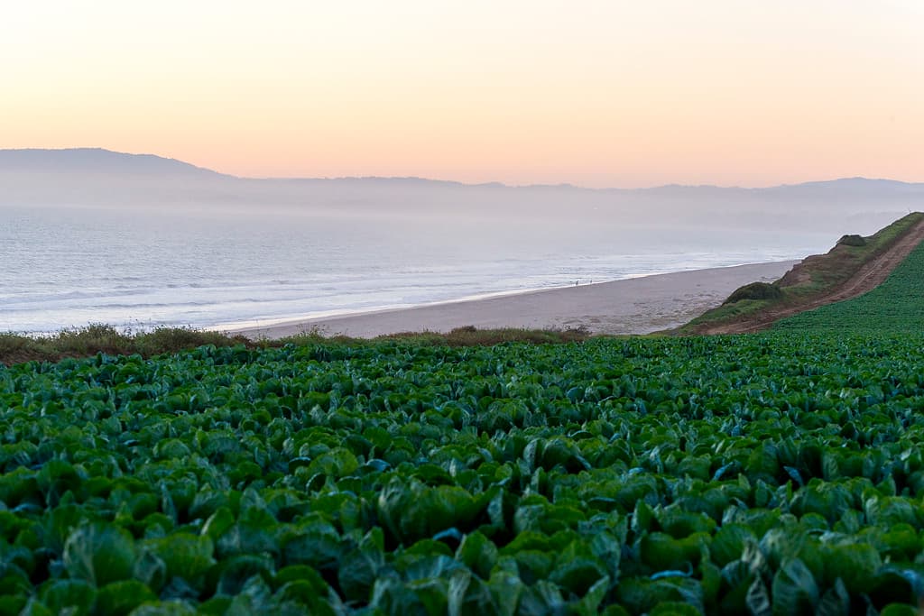 Bay & Lupine Camps (sites 27-65) photo 7