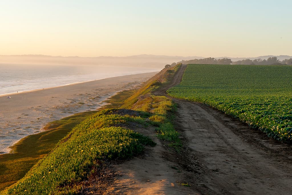 Bay & Lupine Camps (sites 27-65) photo 6