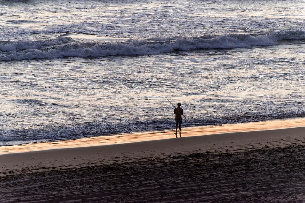 Willow Camps (sites 1-26)