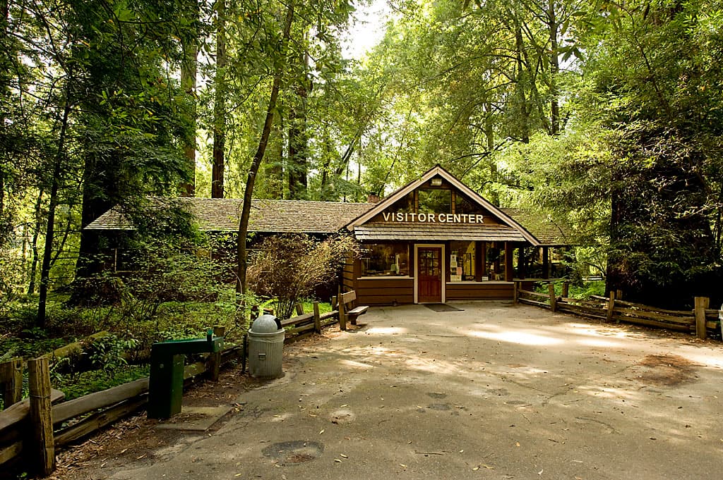 Cowell Campground North (sites 52-113) photo 4