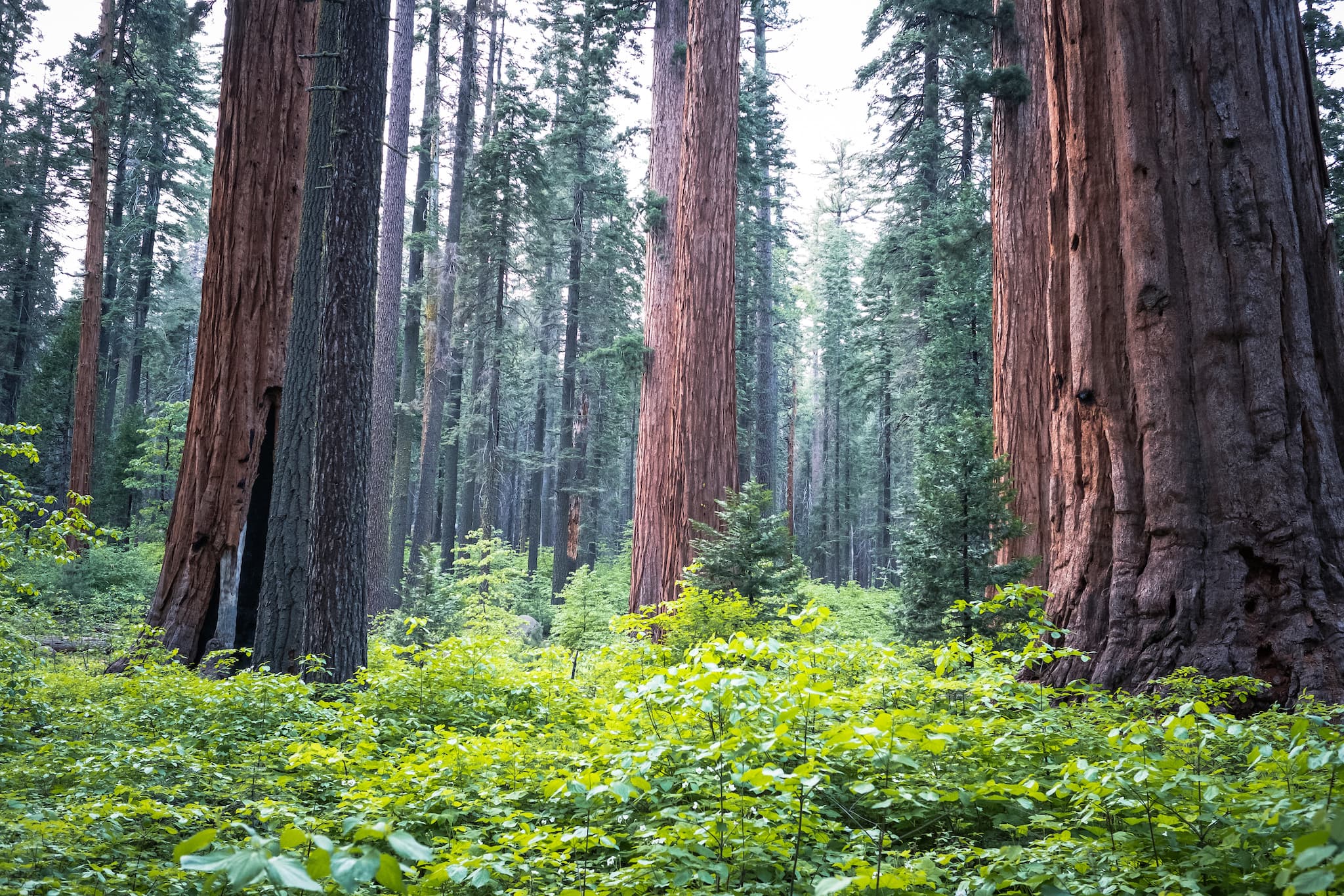 Oak Hollow Campground photo 7