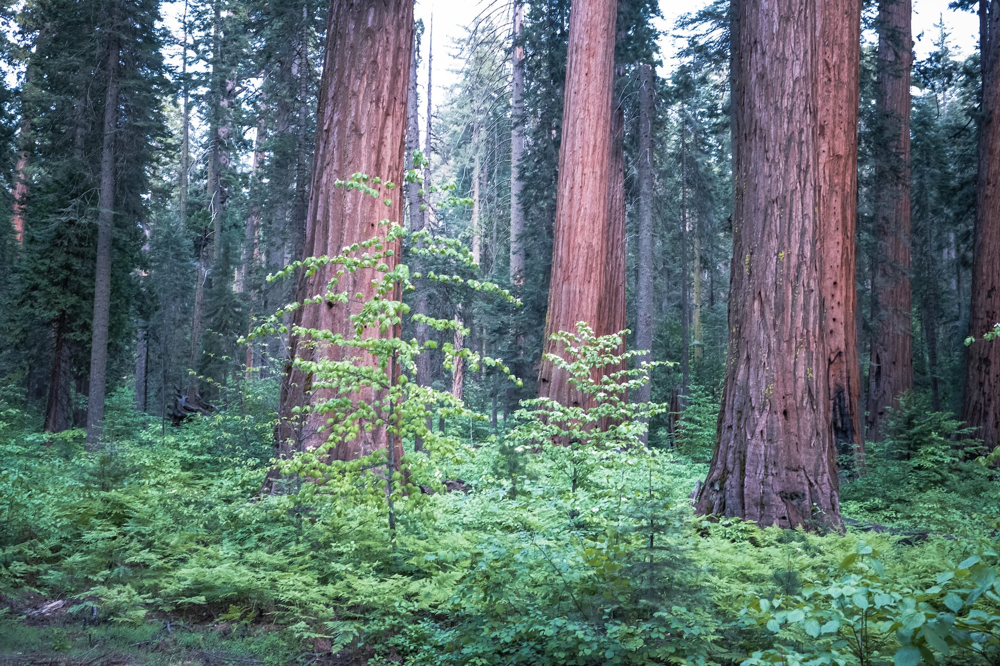 Oak Hollow Campground photo 5