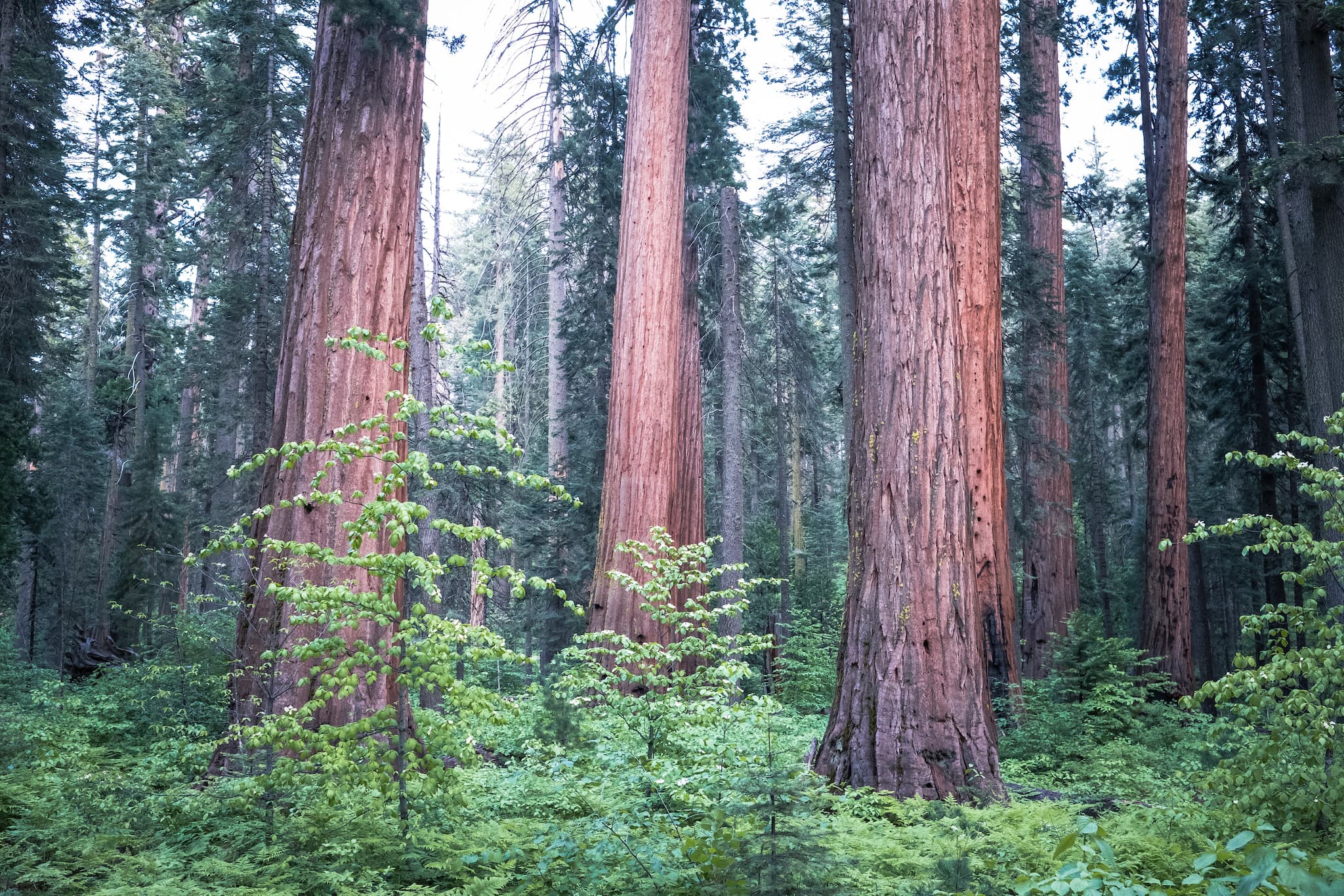 Oak Hollow Campground photo 4