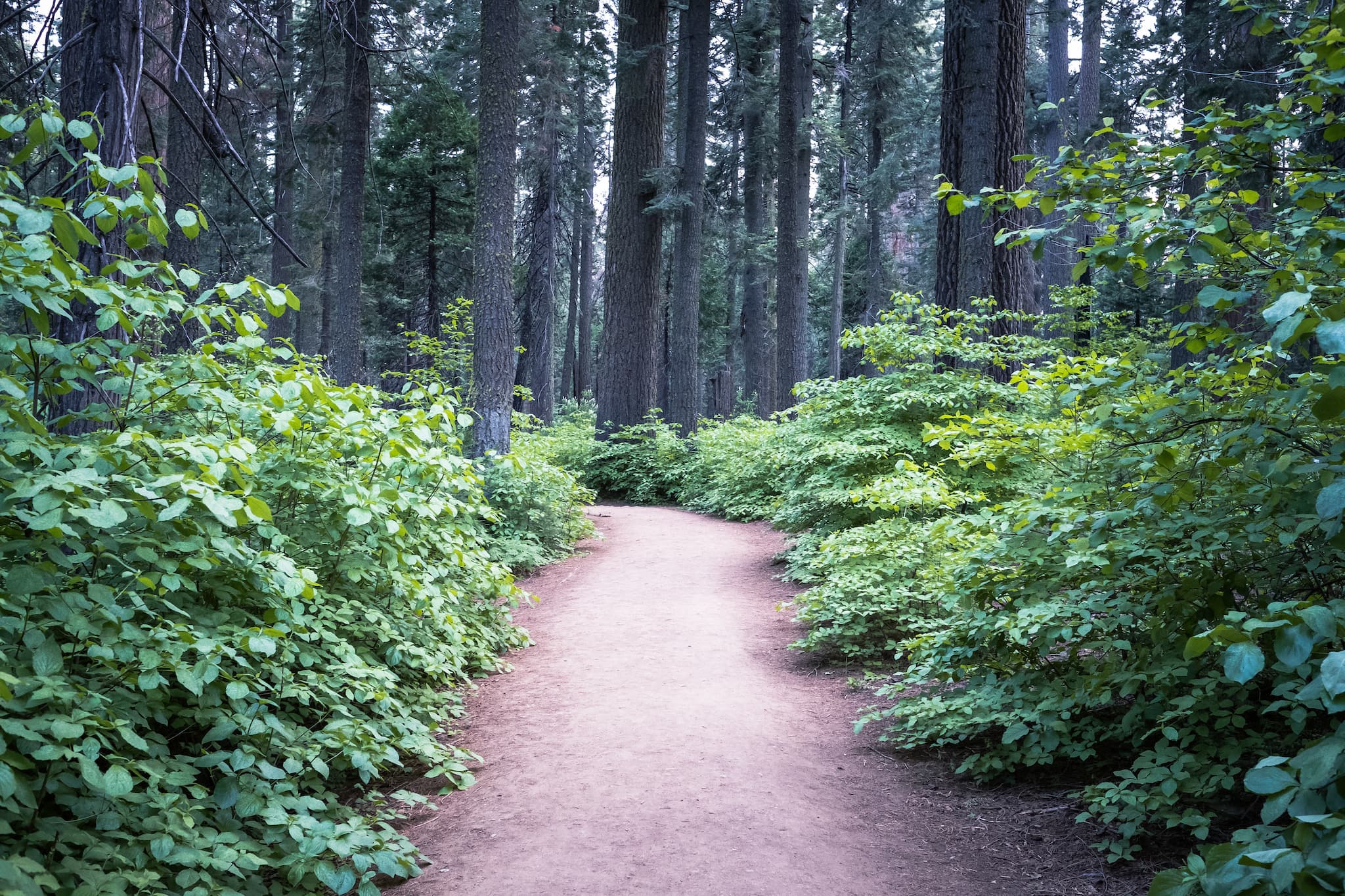 Oak Hollow Campground photo 3