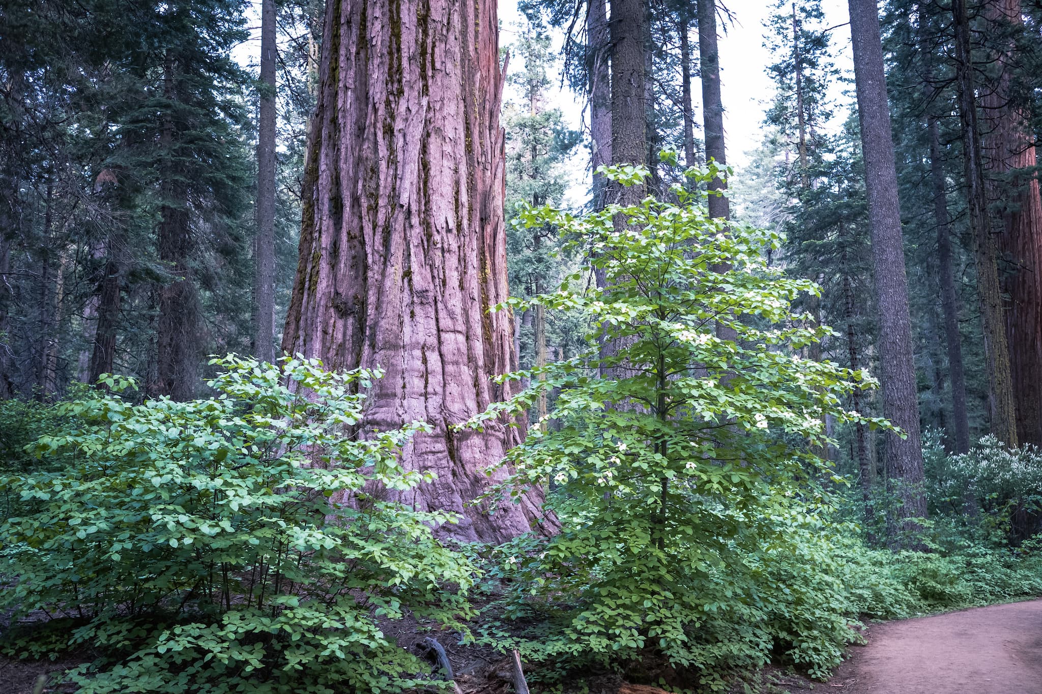 Oak Hollow Campground photo 2