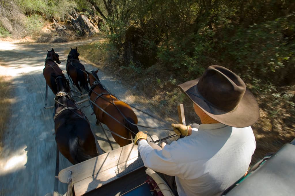 Fallon Hotel photo 2