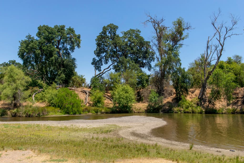 Mcconnell Campground photo 7