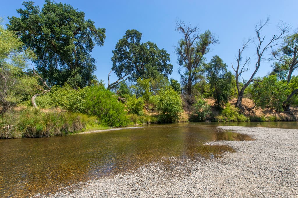 Mcconnell Campground photo 6