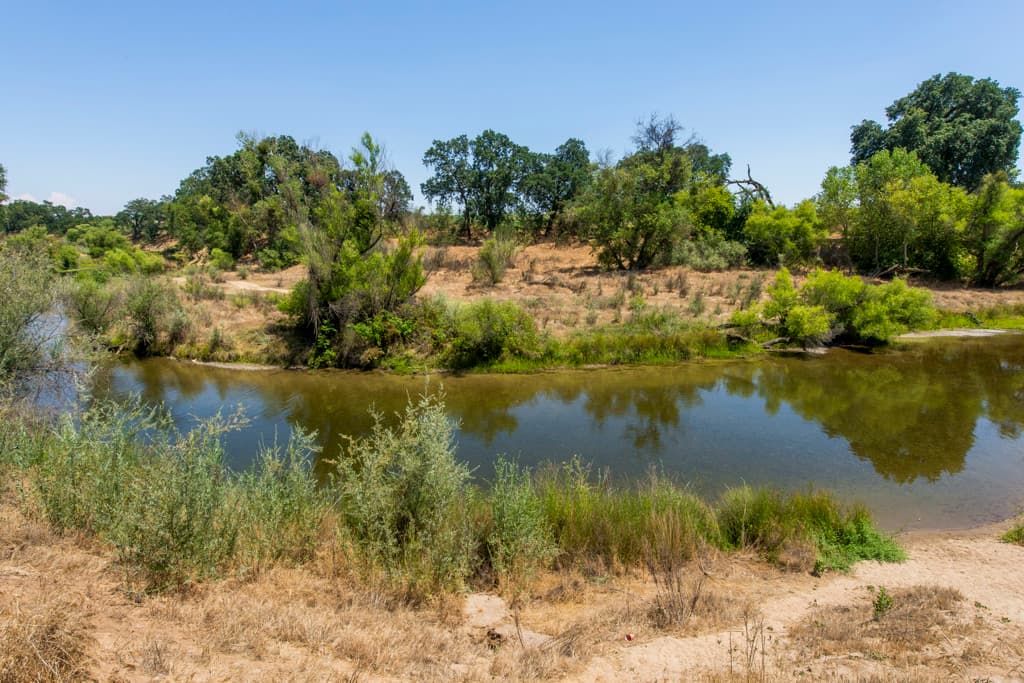 Mcconnell Campground photo 5