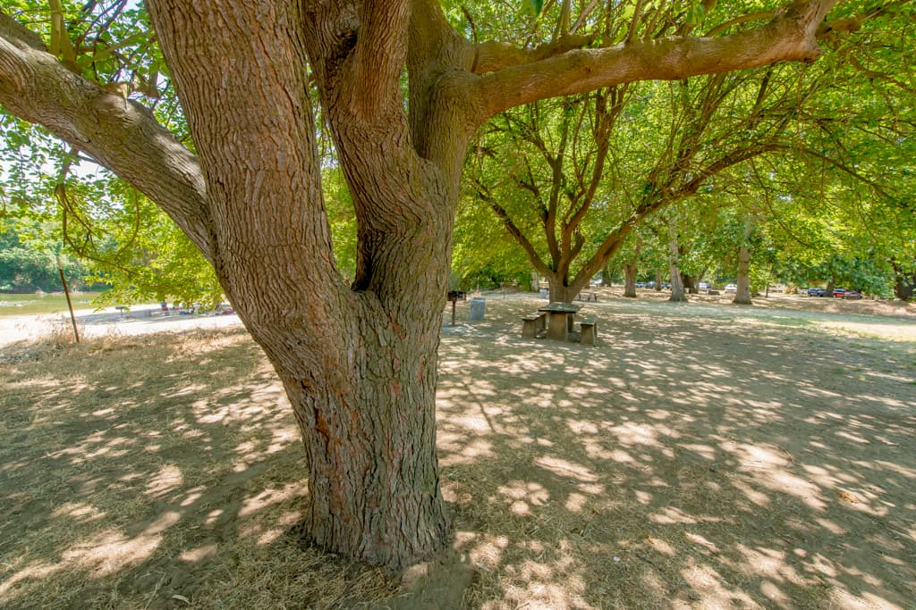 Mcconnell Campground photo 4