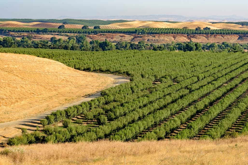 Campground (sites 1-66) photo 6