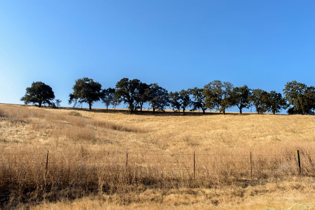 Campground (sites 1-66) photo 5