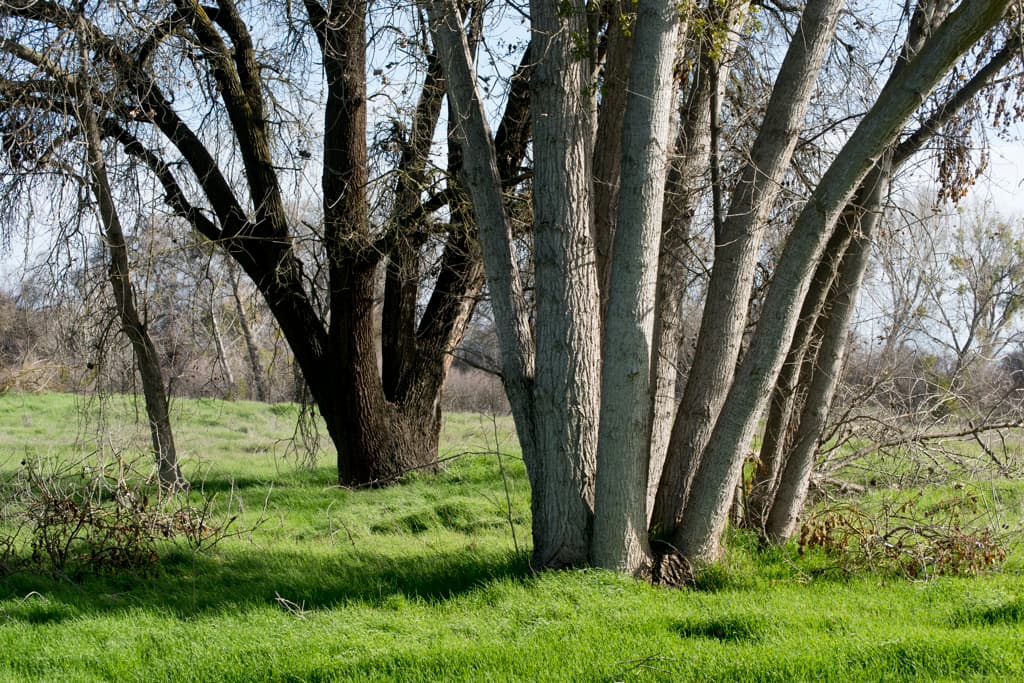 George Hatfield Group Camp photo 8