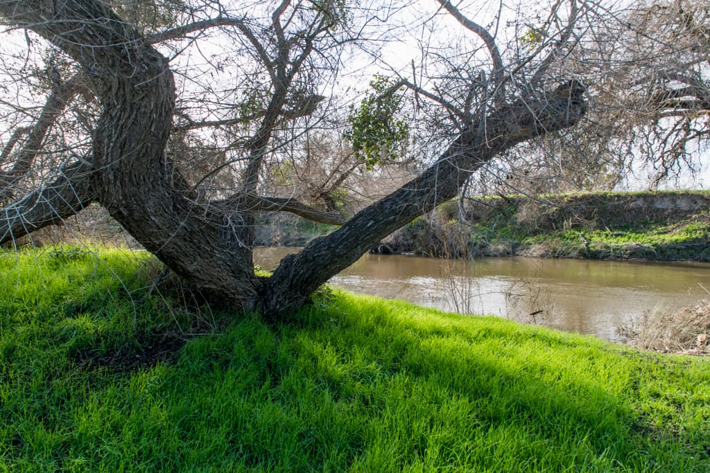 George Hatfield Group Camp photo 7