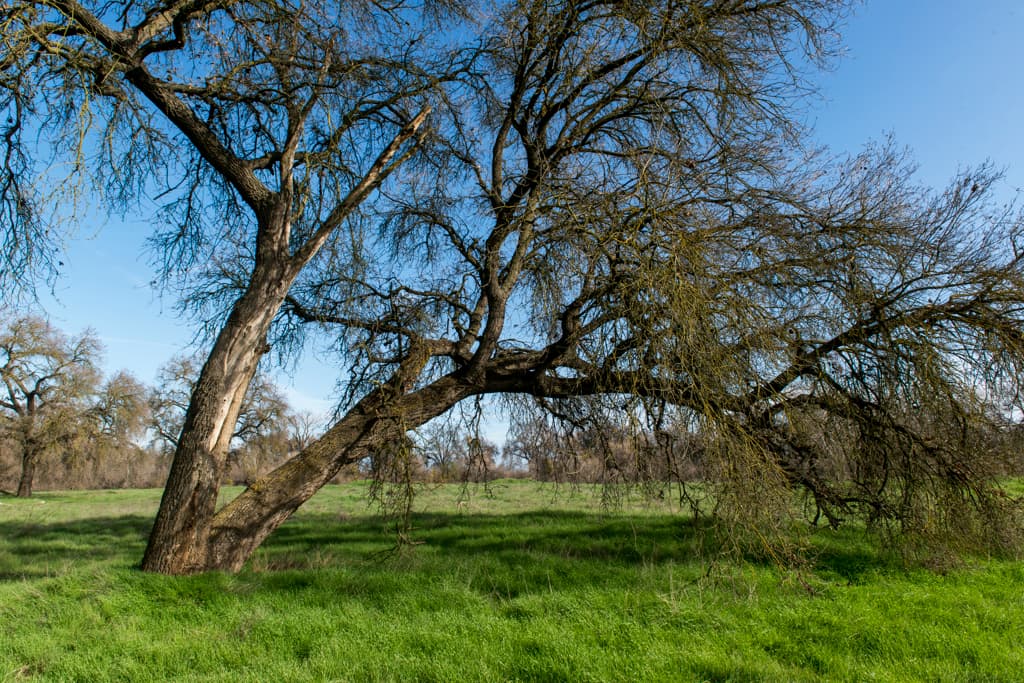 George Hatfield Group Camp photo 6