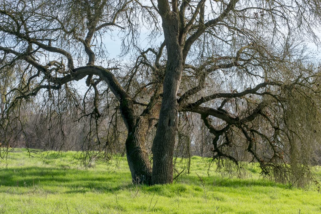 George Hatfield Group Camp photo 5