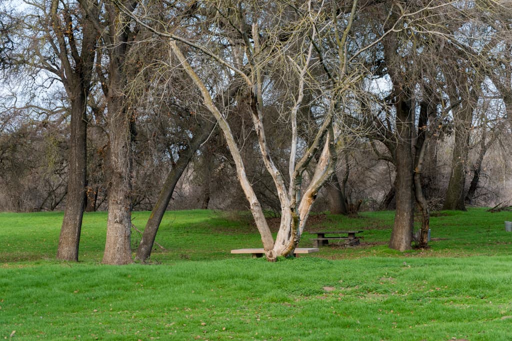 George Hatfield Group Camp photo 4