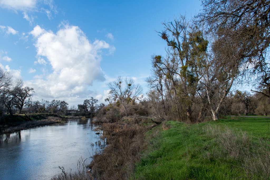 George Hatfield Group Camp photo 2